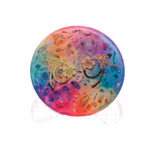 Oplaadschijf_Kolibrie